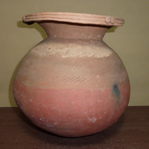 �ʐF�p���X�y��@�퐶����