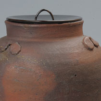 �Ô��O���w