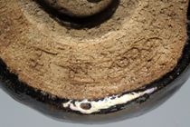 ���y���q