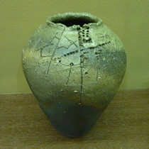 �D����@�������V